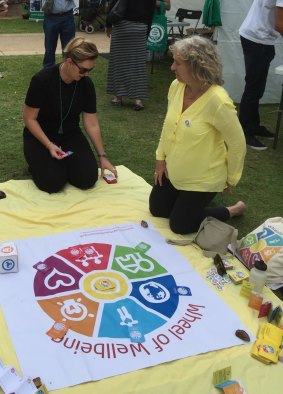 Jan Elston,right, at work with the Wheel of Wellbeing at a community event.