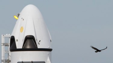 The unmanned SpaceX Crew Dragon sits on a launch before the test at the Cape Canaveral Air Force Station in Florida.