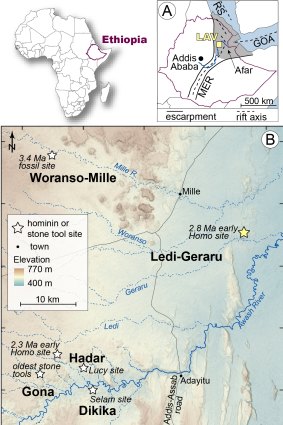 The fossil was uncovered in the Ledi-Geraru area of Ethiopia's Afar region.