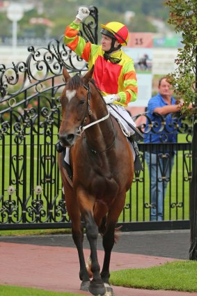 Lankan Rupee could get the chance to follow in Black Caviar's hoofprints even more closely by being set for some of the top sprints in the Brisbane winter carnival. 