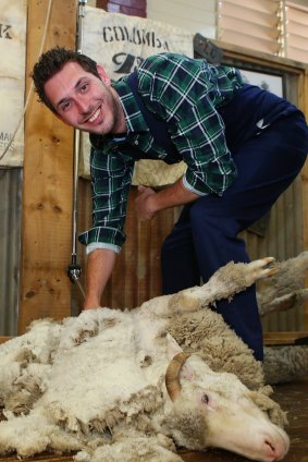 The Inbetweeners cast member Blake Harrison has a go at sheep shearing at the RNA Showgrounds.