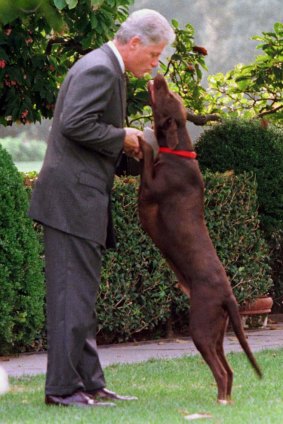President Bill Clinton with his dog Buddy at the White House.