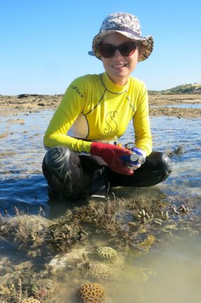 Verena Schoepf with Kimberley corals exposed at low tide.