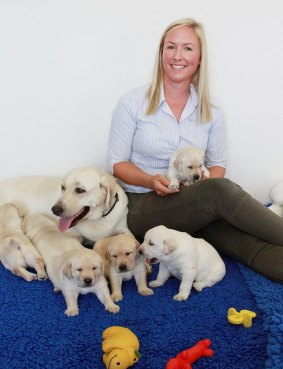 Dr Belinda Dorman sits with guide dog mum 'Gracie' and her seven pups.
