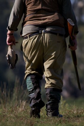 Duck killing justified as 'pest removal': Duck season begins on the Murray River. 