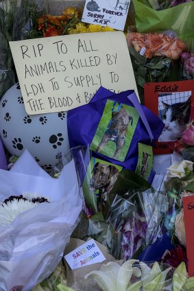 The vigil outside the Lost Dogs' Home in North Melbourne.