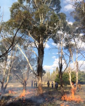 Greening Australia is funding workshops to demonstrate traditional indigenous burning and its role in managing for a healthy landscape.