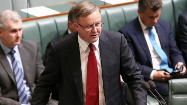 Anthony Albanese, who holds the inner western Sydney seat of Grayndler, has been linked to a switch to the neighbouring seat of Barton.