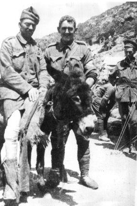 "Murphy" Simpson standing with his Donkey also called "Murphy" and a patient at the lower end of Shrapnel Gully.