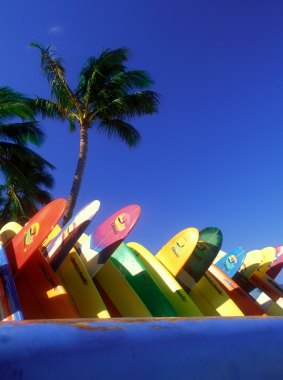Tropical dream: Surfboards stacked up on Waikiki Beach, Hawaii.