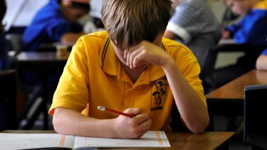 NSW will not take part in robo marking of NAPLAN results next year. 