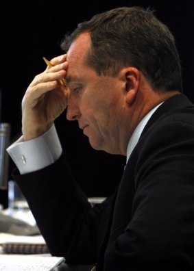 Barnaby Joyce in the Senate in October 2008. 