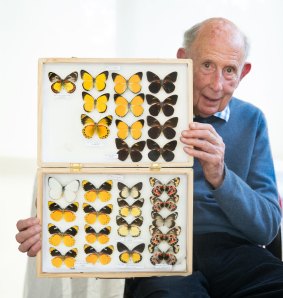 John Landy with part of what remains of his butterfly collection.