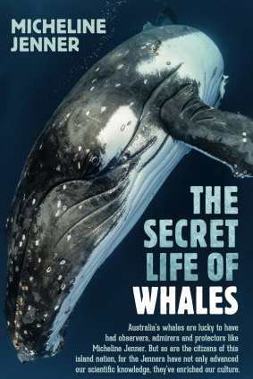 The Secret Life of Whales. By Micheline Jenner.