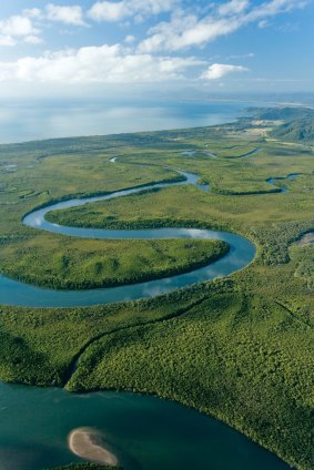 The Daintree is an ancient rainforest dating back 130 million years (about 110 million years older than the Amazon).