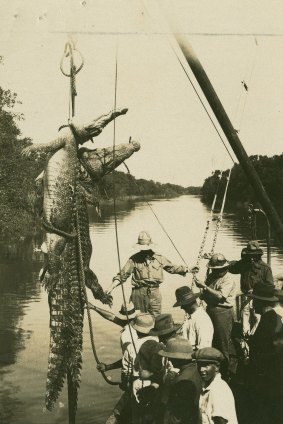Crocodile hunting in the Northern Territory circa 1930.