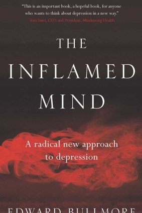The Inflamed Mind. By Edward Bullmore.