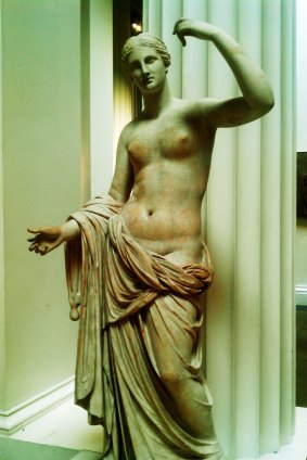 A clumsy caterer broke the thumb of the Townley Venus at the British Museum. 