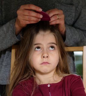 A young girl being treated for head lice.
