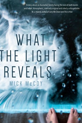 What the Light Reveals. By Mick McCoy.