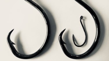 The Intriguing Image Jacinda Ardern Used To Announce Her Pregnancy Has A Deeper Meaning