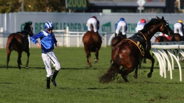 Almoonqith collapses mid-race at Randwick.