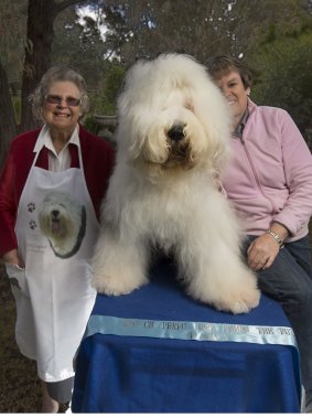 June Soderstrom and daughter Virginia Soderstrom have been exhibiting Old English sheep dogs at the Royal Melbourne Show for more than 40 years.