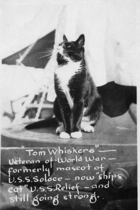 Tom Whiskers on duty on the USS Relief, a subsequent posting.