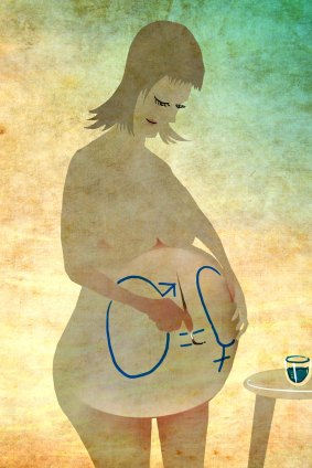 Pregnancy maps, it turns out, aren't a good idea. <i>Illustration by Michael Mucci</i>