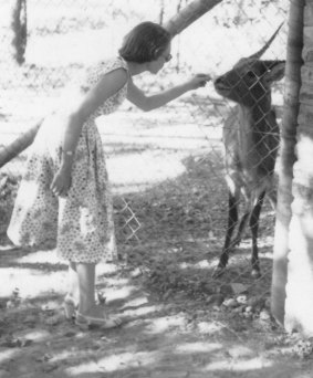 Jill Whiter in Kenya with a male duiker that had
defended the body of a female and young killed by lions.