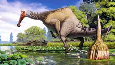 Deinocheirus with its distinctive hump, pictured in swampland with an ankylosaur in background.