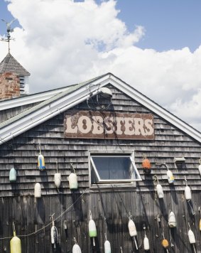 Lobsters are a specialty of Maine.