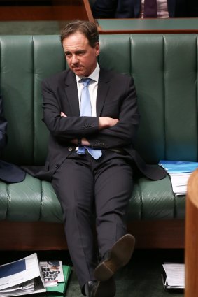 Environment Minister Greg Hunt during question time on Thursday.