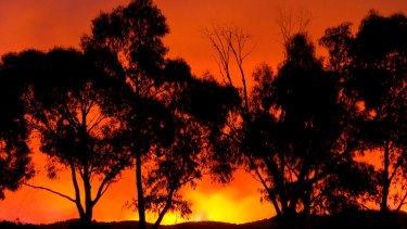 A bushfire near Healesville, on the outskirts of Melbourne on Black Saturday in February 2009. 