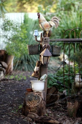Drought-proofing your garden