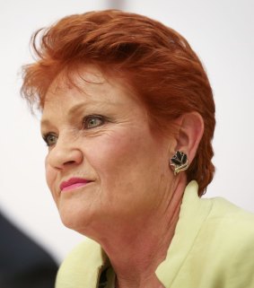 Senator Pauline Hanson during the hearing.