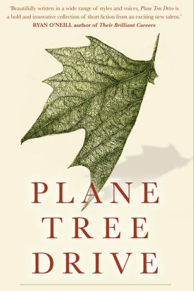 Plane Tree Drive. By Lynette Washington.