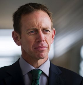 The NSW Greens are critical of Shane Rattenbury over the ACT's planned kangaroo cull