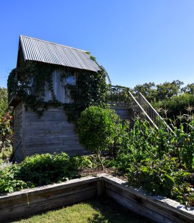 A garden hut in the Forges' garden is partly covered with vegetation.