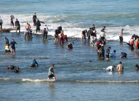Surf Life Saving will put extra patrol on during abalone season after three deaths in recent years. 