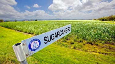 Australia's sizeable sugar industry has been joining forces to resist a 'sugar tax'. 