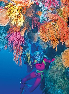 Lindblad offers scuba-diving in the Pacific Ocean.