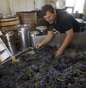 Donkey & Goat winery in Berkeley, California, strives to make wine as naturally as possible.