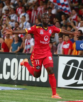 Red alert: Bruce Djite's Adelaide United have been in top form of late - as have their opponents from Sydney.