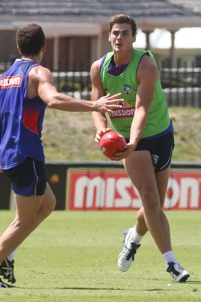 New Dog Tom Boyd at the training track at Whitten Oval.