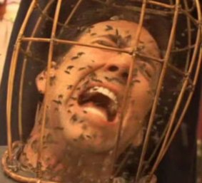 The wildly excessive bee scene in Neil LaBute’s The Wicker Man.