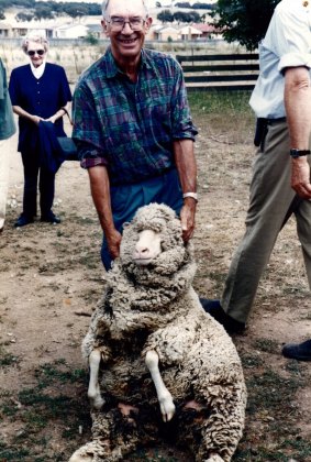 John Moss tries his hand as a volunteer shearer, Canberra, 2002.