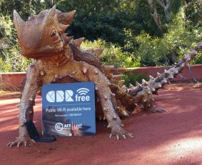 A statue of a thorny devil in the Red Centre Garden at the Australian National Botanic Gardens for the launch of extension of the CBRfree WiFi network.