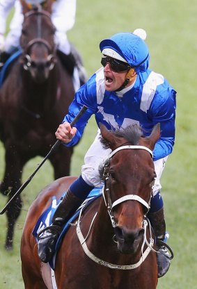 Hugh Bowman win on Winx in the Cox Platewas a highlight in a troubled year for racing.