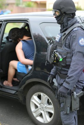 A male is arrested during Operation Appleby raids in Sydney's south-west on Thursday.